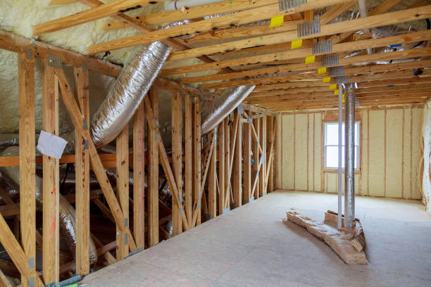 Professional Insulation Contractor in Bridge City, TX