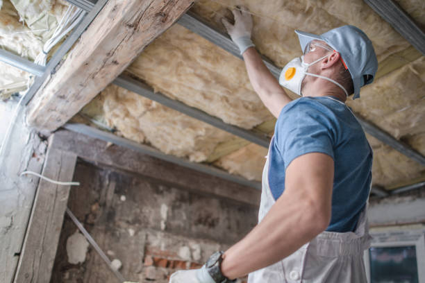 Best Specialized Insulation Services in Bridge City, TX